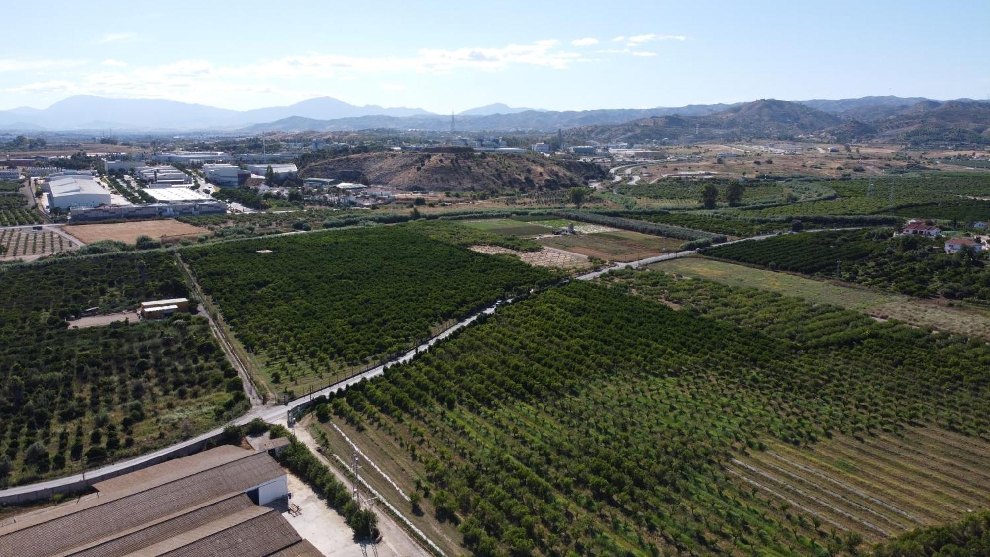 Complejo Rural Lo Arrabal Villa Málaga Exteriör bild