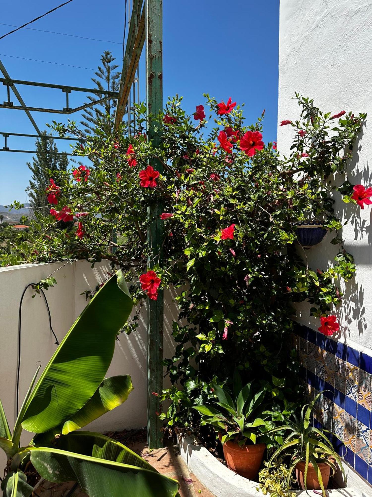 Complejo Rural Lo Arrabal Villa Málaga Exteriör bild